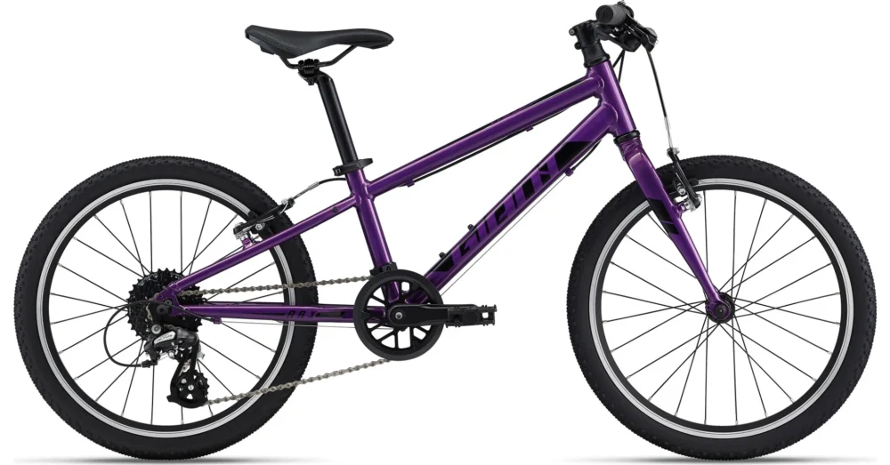 GIANT ARX 20" PURPLE GYEREK KERÉKPÁR Biztonságos fizetés