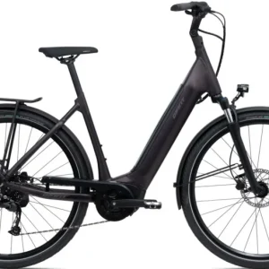 GIANT DAILYTOUR E+3 LDS EASY ENTRY Rosewood 2022 UNISEX ELEKTROMOS TREKKING KERÉKPÁR Csak ma